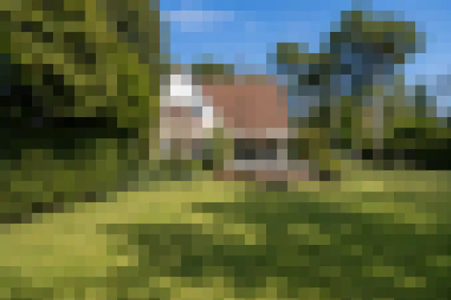 Parklaan 13 Waalre thumbnail 36