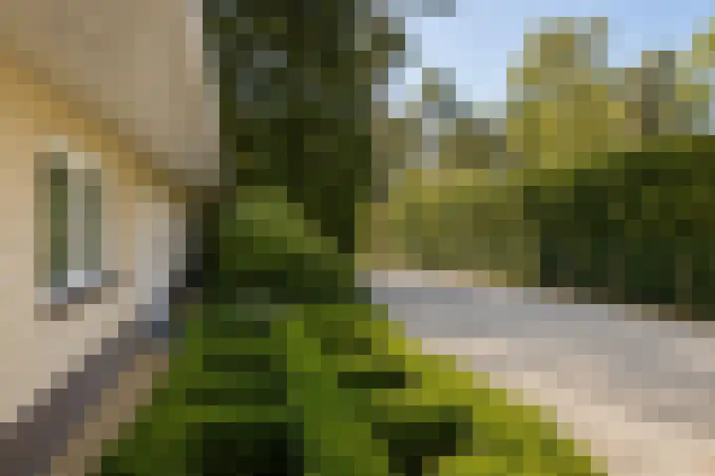 Parklaan 13 Waalre thumbnail 37