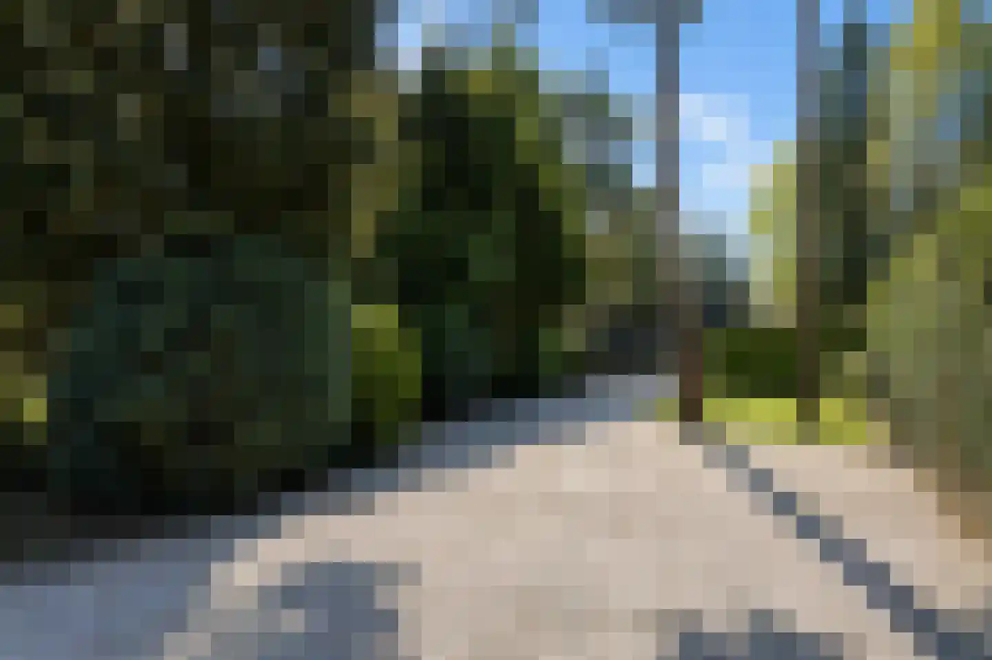 Parklaan 13 Waalre thumbnail 38
