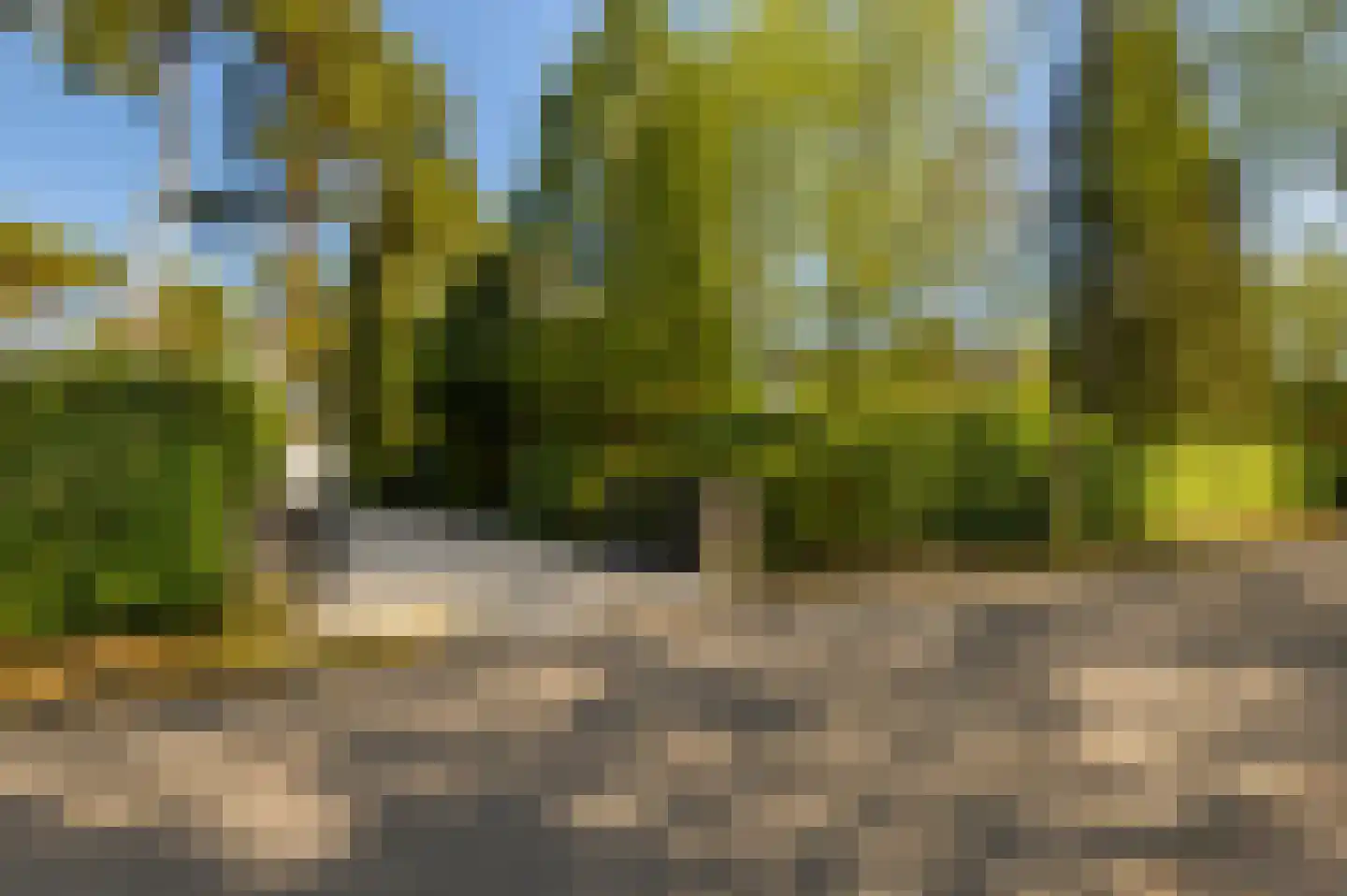 Parklaan 13 Waalre thumbnail 5