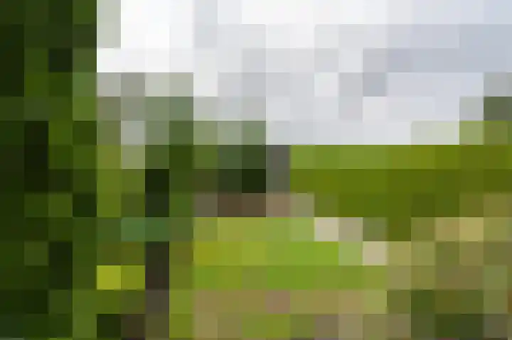 Parklaan 130 Winschoten thumbnail 35