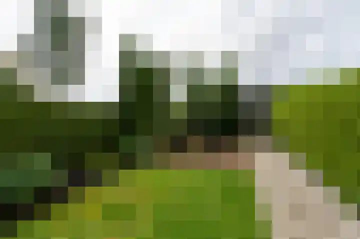 Parklaan 130 Winschoten thumbnail 36