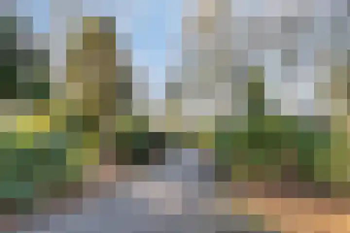 Parklaan 132 Winschoten thumbnail 27