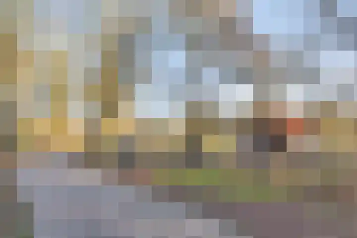 Parklaan 132 Winschoten thumbnail 28