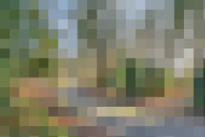 Parklaan 132 Winschoten thumbnail 29