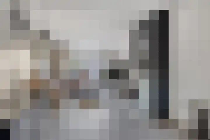 Parklaan 132 Winschoten thumbnail 8