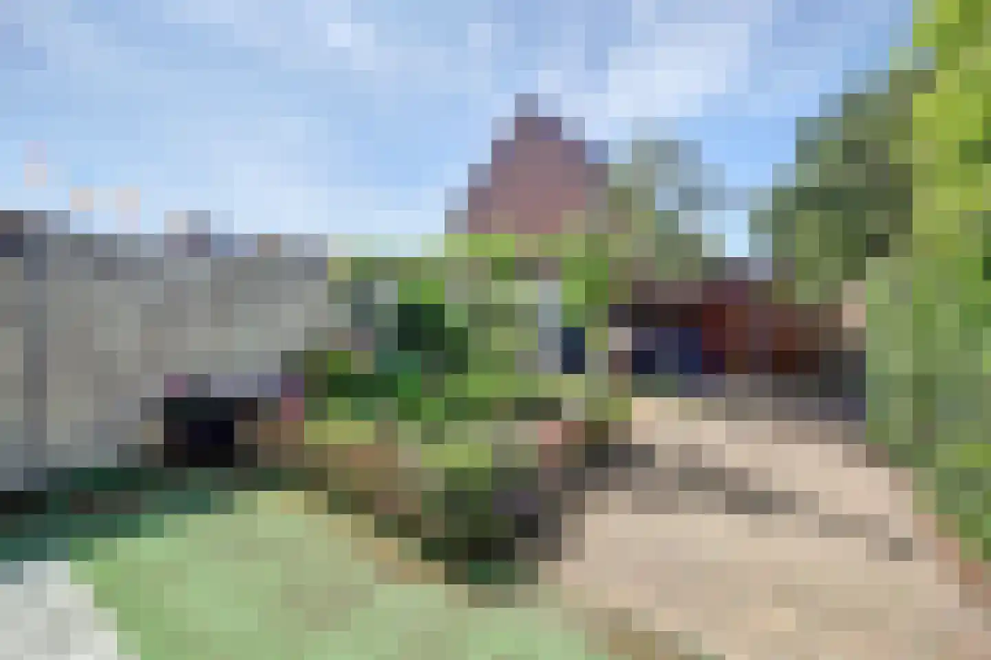 Parklaan 135 Spijkenisse thumbnail 12