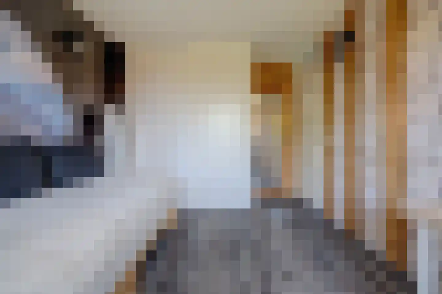 Parklaan 135 Spijkenisse thumbnail 25