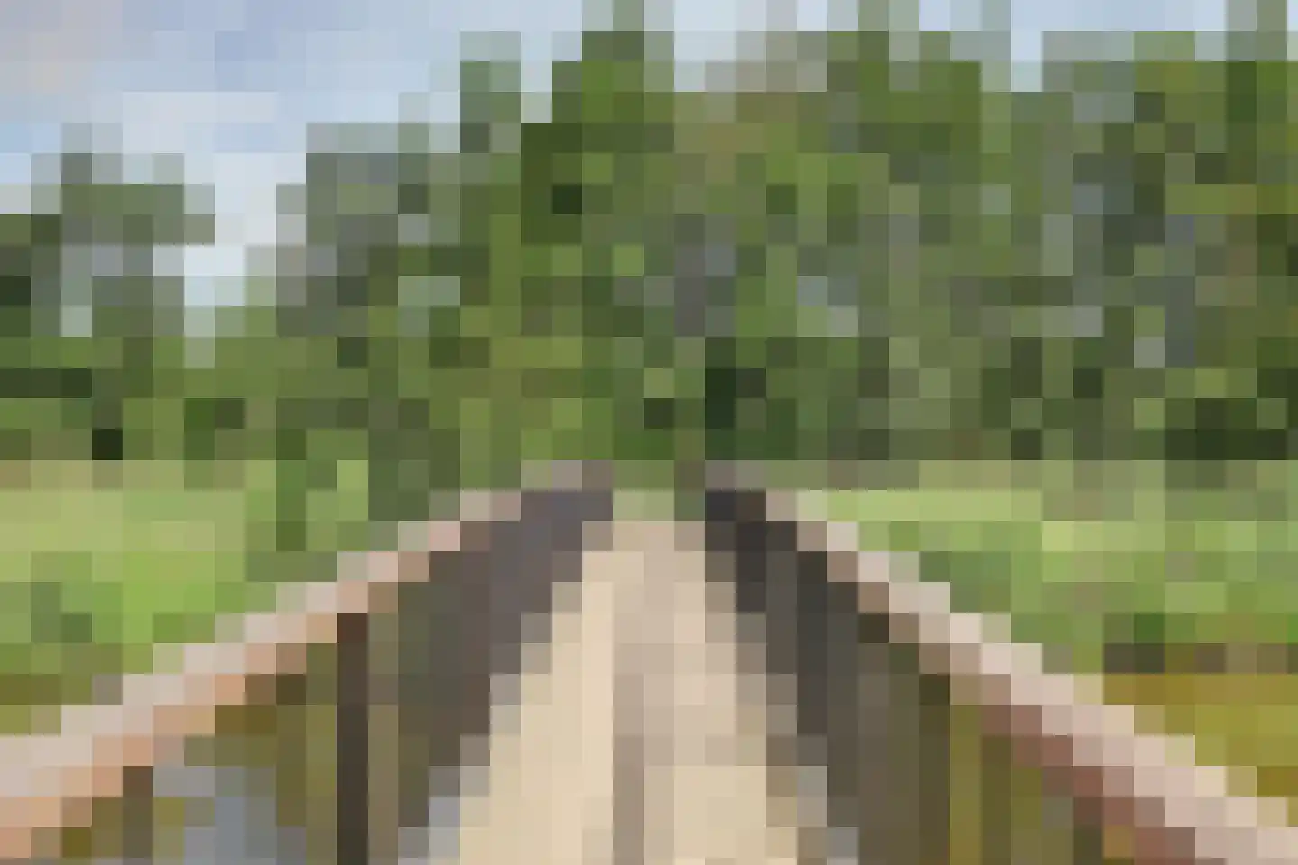 Parklaan 135 Spijkenisse thumbnail 35