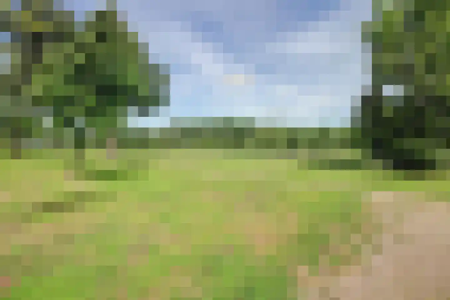 Parklaan 135 Spijkenisse thumbnail 36