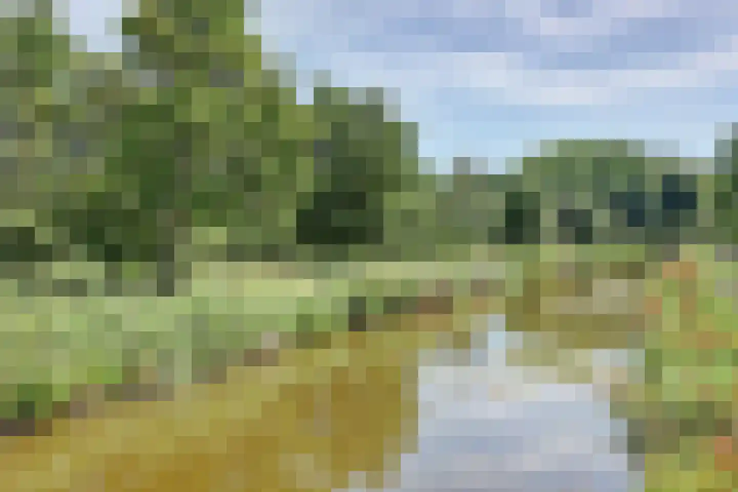 Parklaan 135 Spijkenisse thumbnail 37