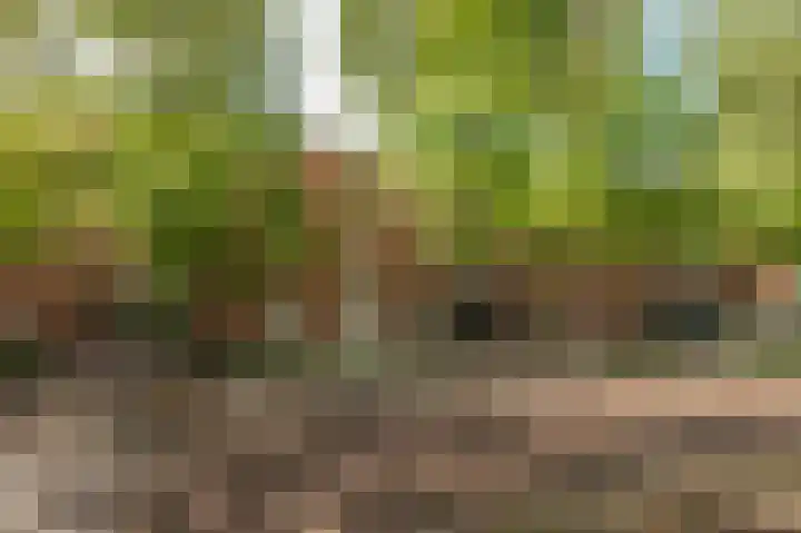 Parklaan 143 Culemborg thumbnail 25