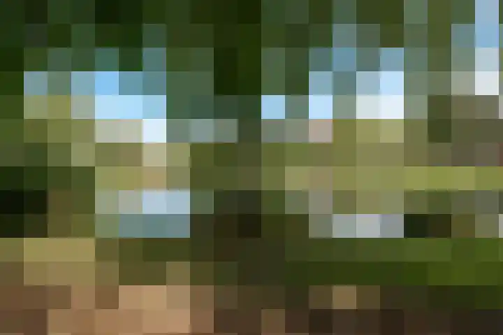 Parklaan 143 Culemborg thumbnail 27