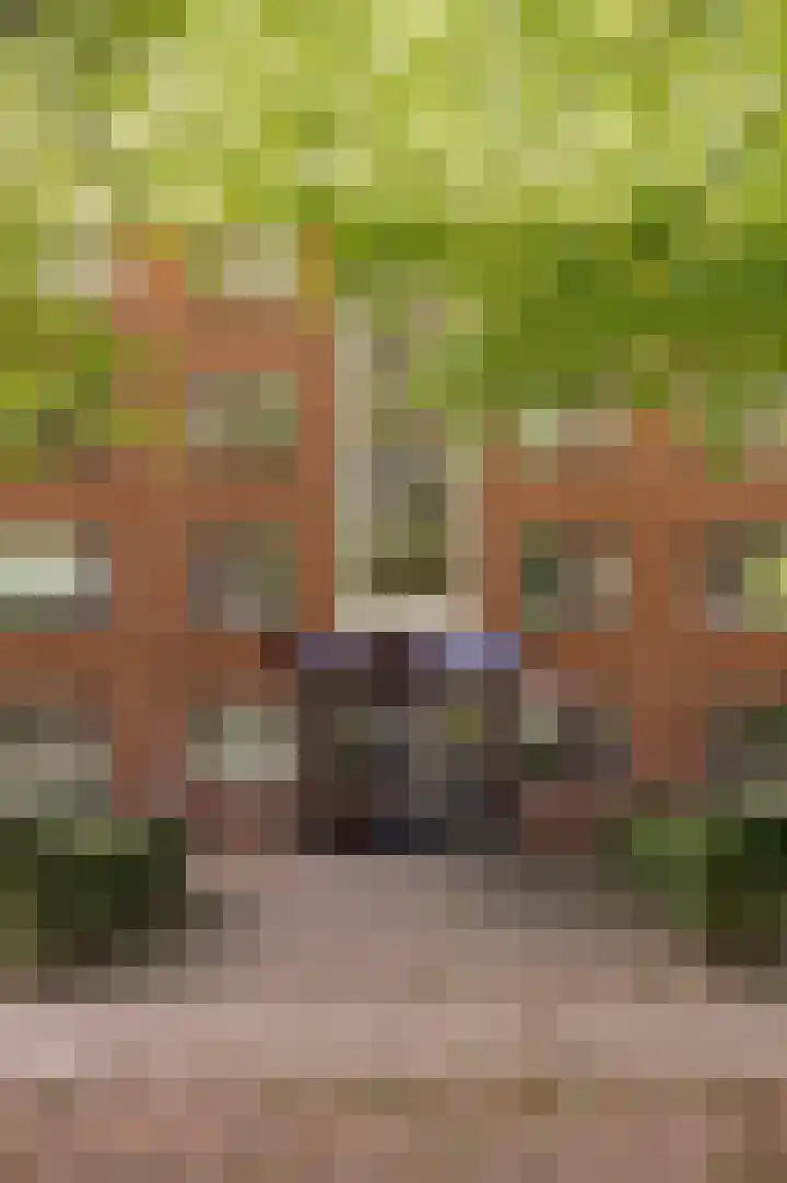 Parklaan 143 Culemborg thumbnail 5