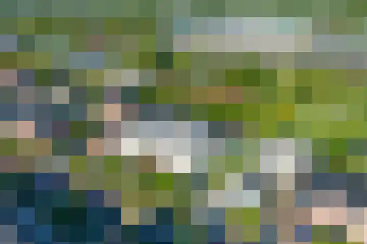 Parklaan 145 Boskoop thumbnail 4