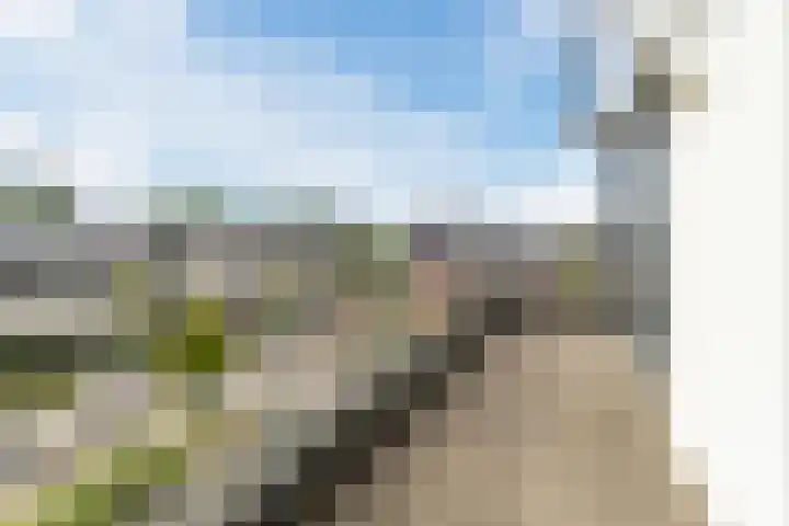 Parklaan 145 Boskoop thumbnail 51