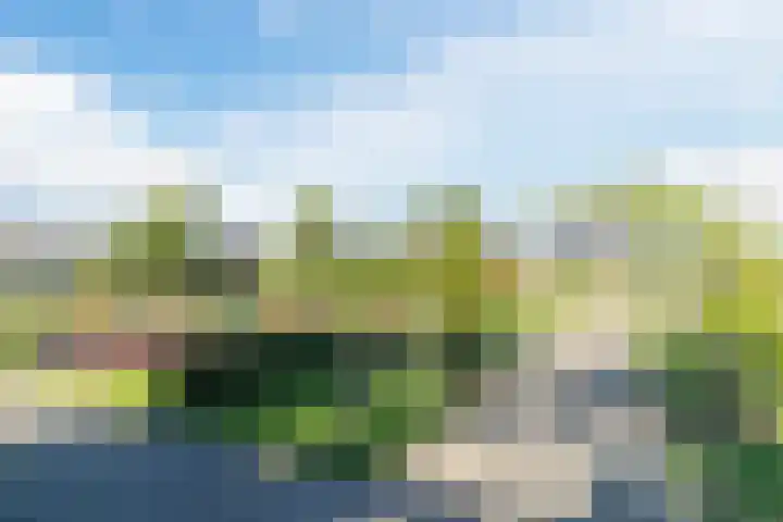 Parklaan 145 Boskoop thumbnail 72