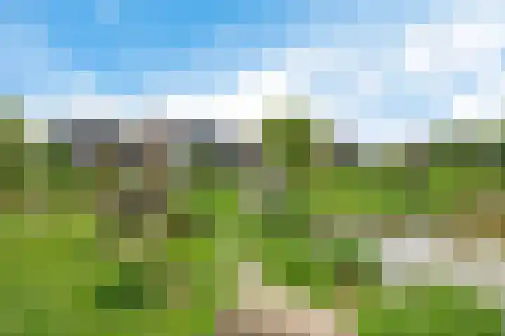 Parklaan 149 Waddinxveen thumbnail 37