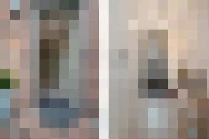 Parklaan 149 Waddinxveen thumbnail 4