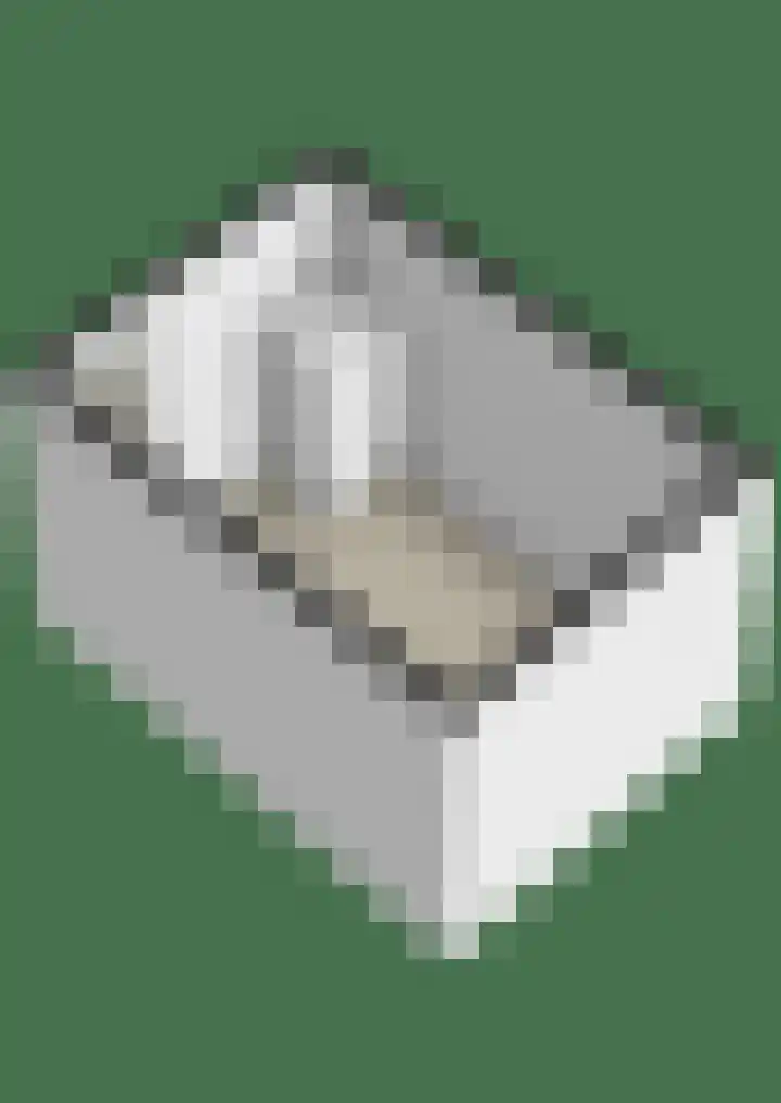 Parklaan 149 Waddinxveen thumbnail 41
