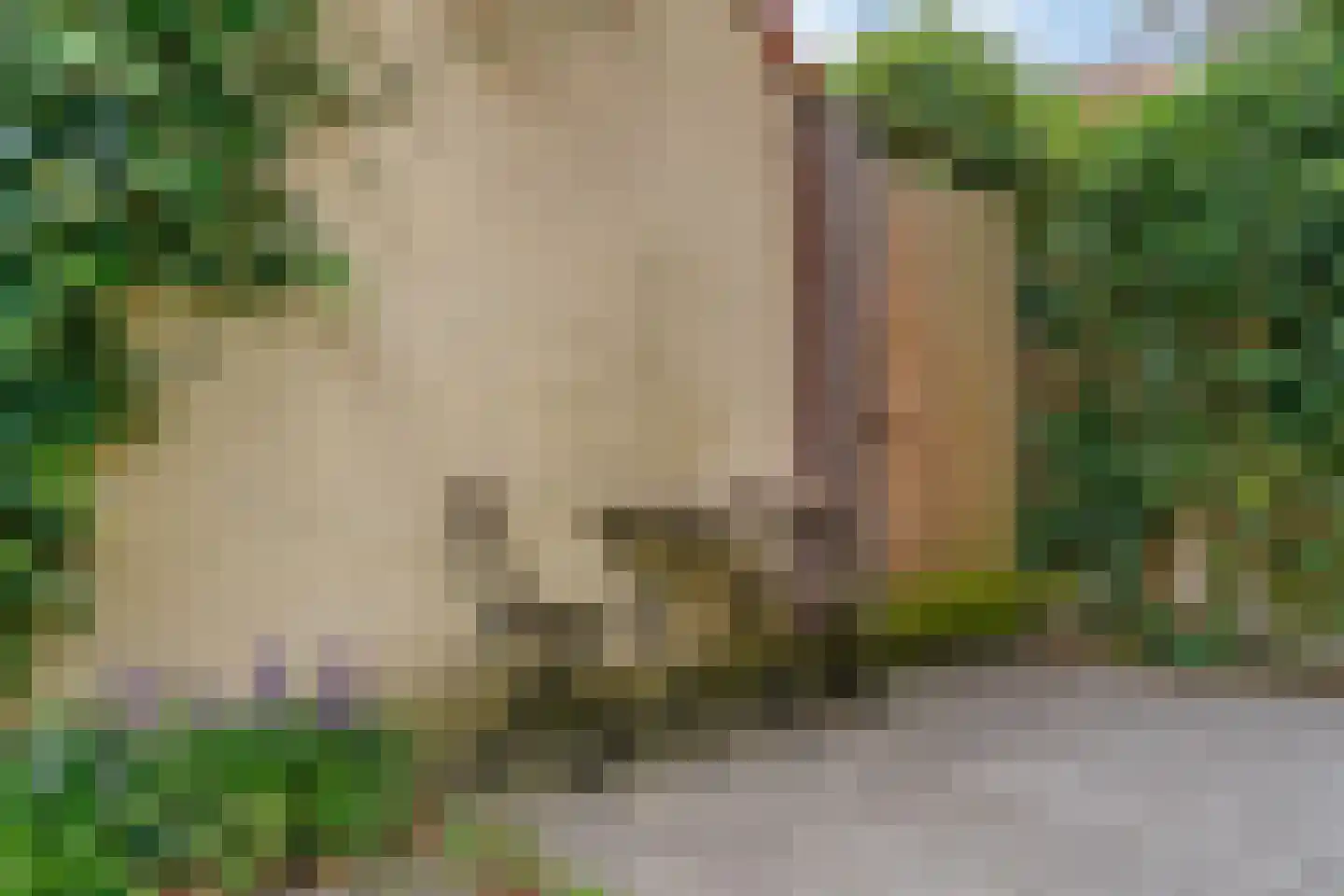 Parklaan 15 Bilthoven thumbnail 40