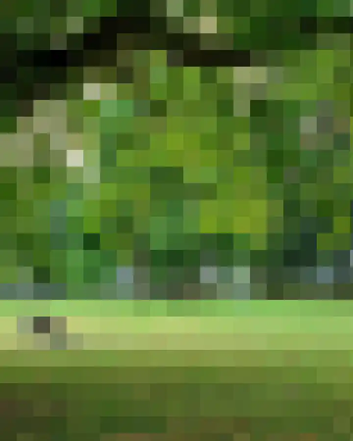 Parklaan 15 D Haarlem thumbnail 20