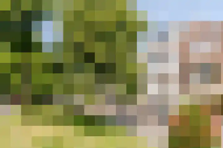 Parklaan 15 D Haarlem thumbnail 22