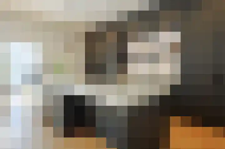 Parklaan 15 Eindhoven thumbnail 15