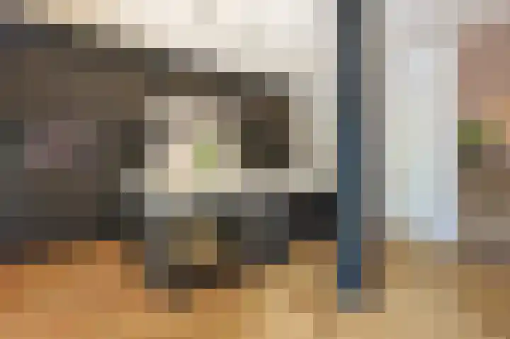 Parklaan 15 Eindhoven thumbnail 17