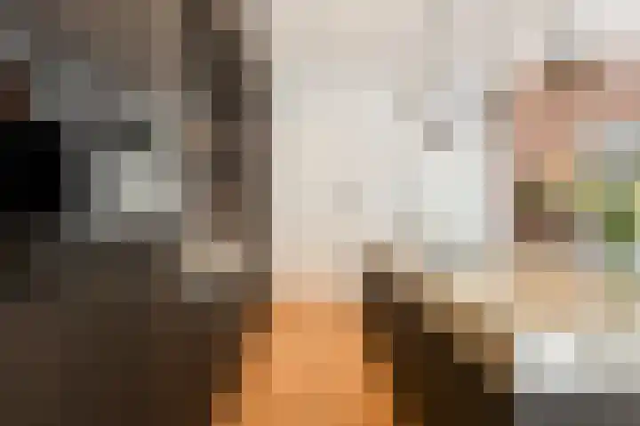 Parklaan 15 Eindhoven thumbnail 19