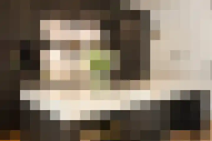 Parklaan 15 Eindhoven thumbnail 20