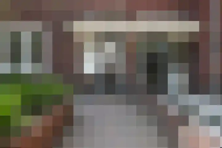 Parklaan 15 Eindhoven thumbnail 4