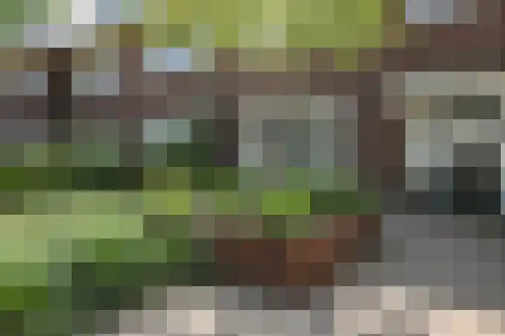 Parklaan 15 Eindhoven thumbnail 5