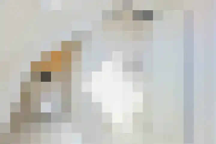 Parklaan 15 Eindhoven thumbnail 69