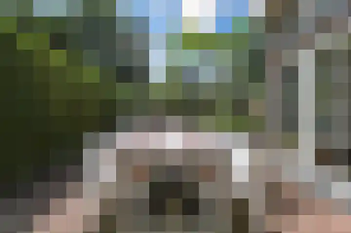 Parklaan 15 Eindhoven thumbnail 77