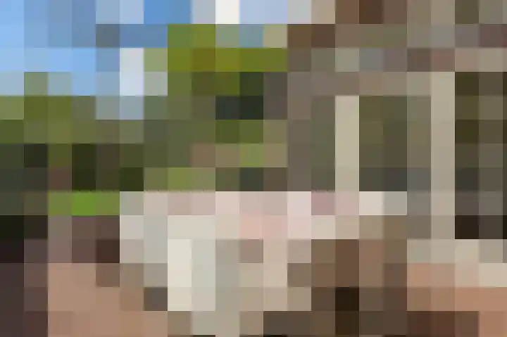 Parklaan 15 Eindhoven thumbnail 78