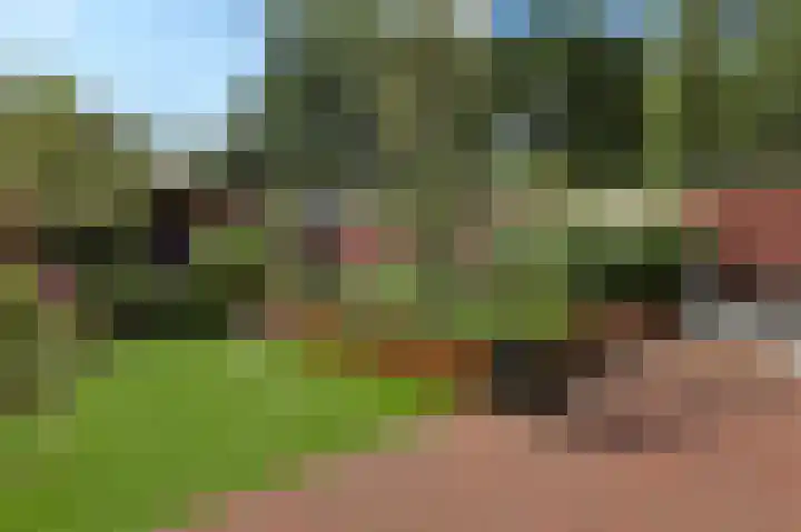 Parklaan 15 Eindhoven thumbnail 79