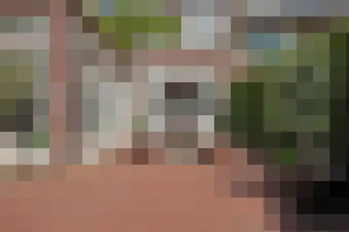 Parklaan 15 Eindhoven thumbnail 82