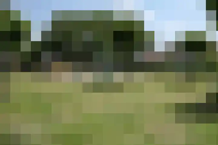 Parklaan 15 Eindhoven thumbnail 89