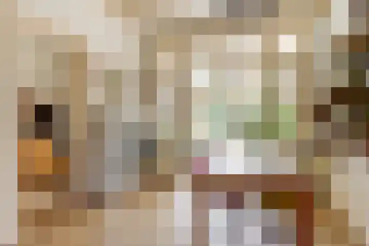 Parklaan 15 Enkhuizen thumbnail 10