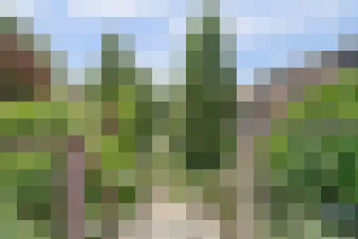 Parklaan 15 Enkhuizen thumbnail 16