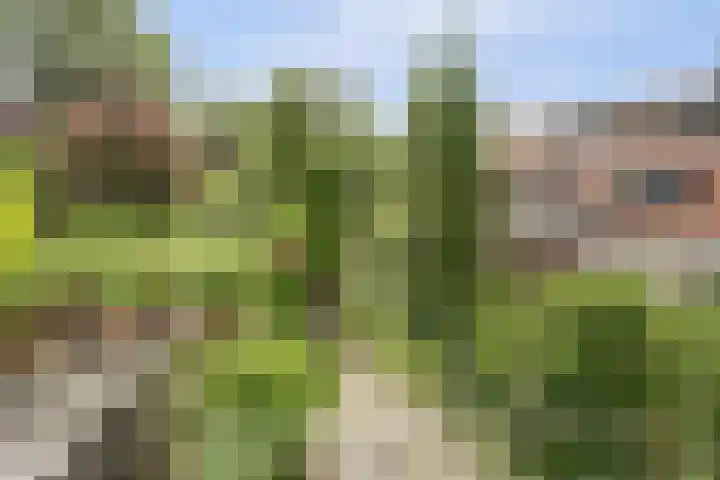 Parklaan 15 Enkhuizen thumbnail 17