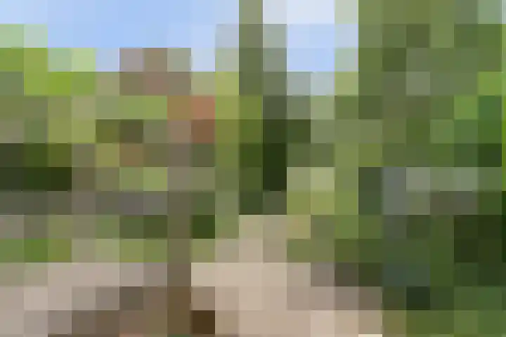 Parklaan 15 Enkhuizen thumbnail 18