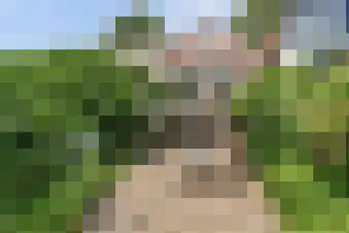 Parklaan 15 Enkhuizen thumbnail 19