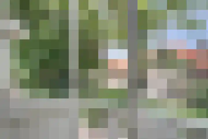 Parklaan 15 Enkhuizen thumbnail 27