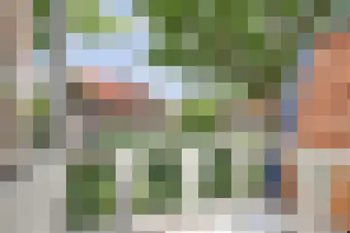Parklaan 15 Enkhuizen thumbnail 28