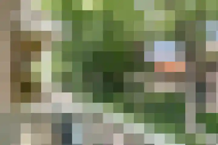Parklaan 15 Enkhuizen thumbnail 29