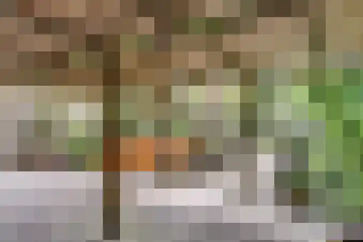 Parklaan 15 Enkhuizen thumbnail 47