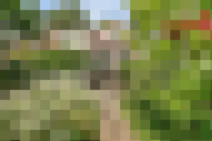 Parklaan 15 Enkhuizen thumbnail 49