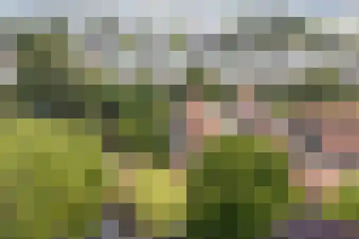 Parklaan 15 Enkhuizen thumbnail 61